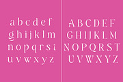 Javonte  Clean Modern Serif Typeface, a Serif Font by Artdez (Thumbnail 4 of 4)