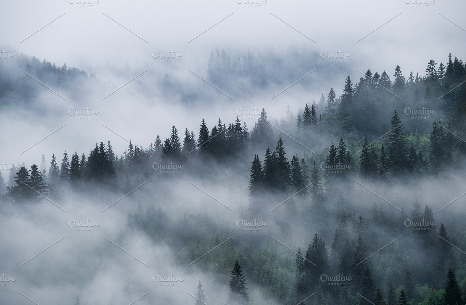 Foggy forest featuring landscape, mountain, and fog, a Nature Photo by Landscape and travel