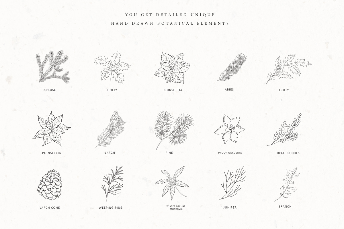 Christmas Time. Winter Bouquets., a Seasonal Illustration by Designwork (Photo 17 of 19)