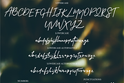 Crystal Castle Font + Logos, a Script Font by theinkaffair (Thumbnail 11 of 11)
