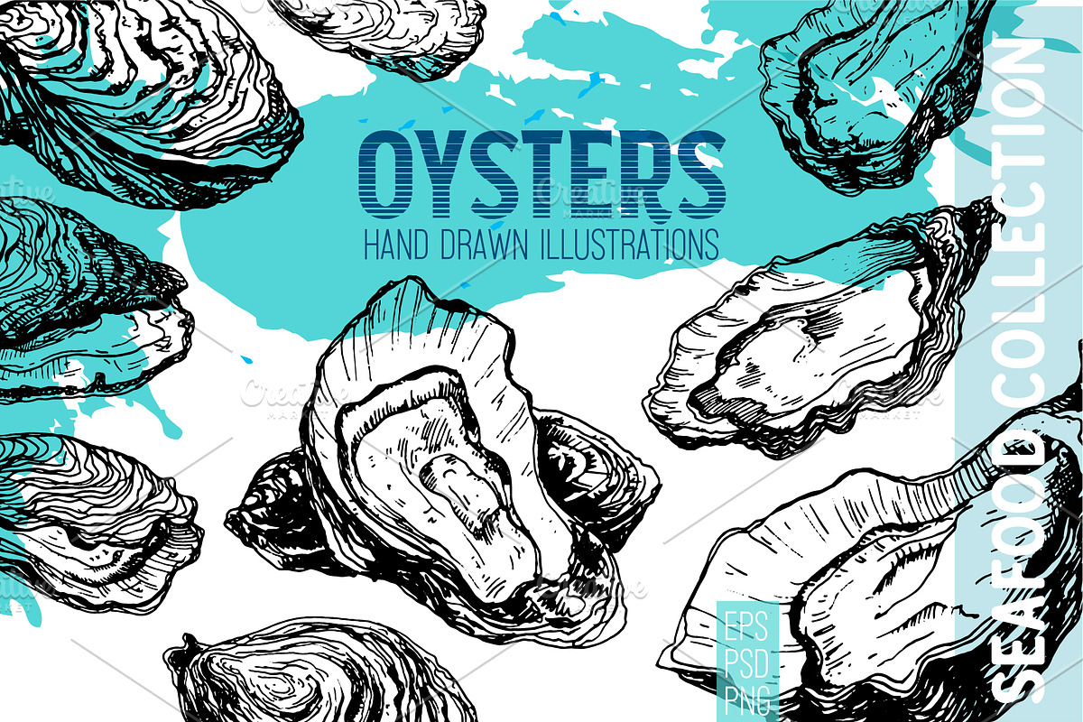 Oysters. Seafood engraving set, a Food Illustration by Alena Kaz (Photo 1 of 4)
