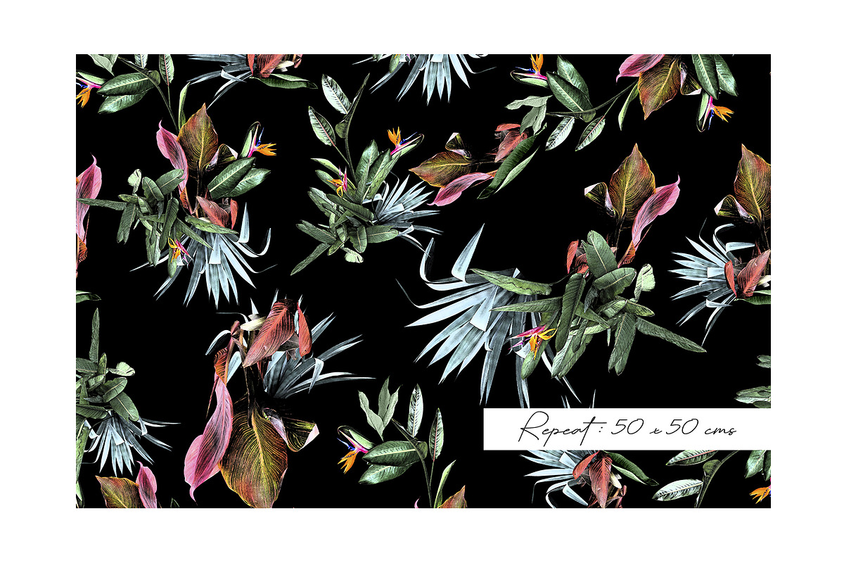 Tropicallia, a Pattern Graphic by Luiz da Rolt Grathwohl (Photo 8 of 13)