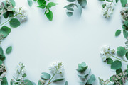 99 Frames of green leaves, a Nature Photo by Handmadefont (Thumbnail 64 of 100)
