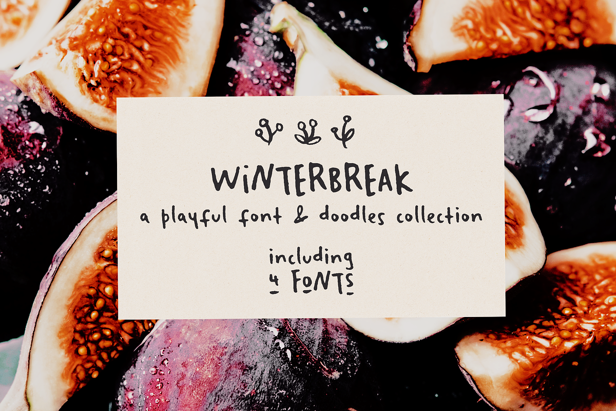 Winterbreak font and doodles set, a Handwritten Font by Ana's Fonts (Photo 1 of 8)
