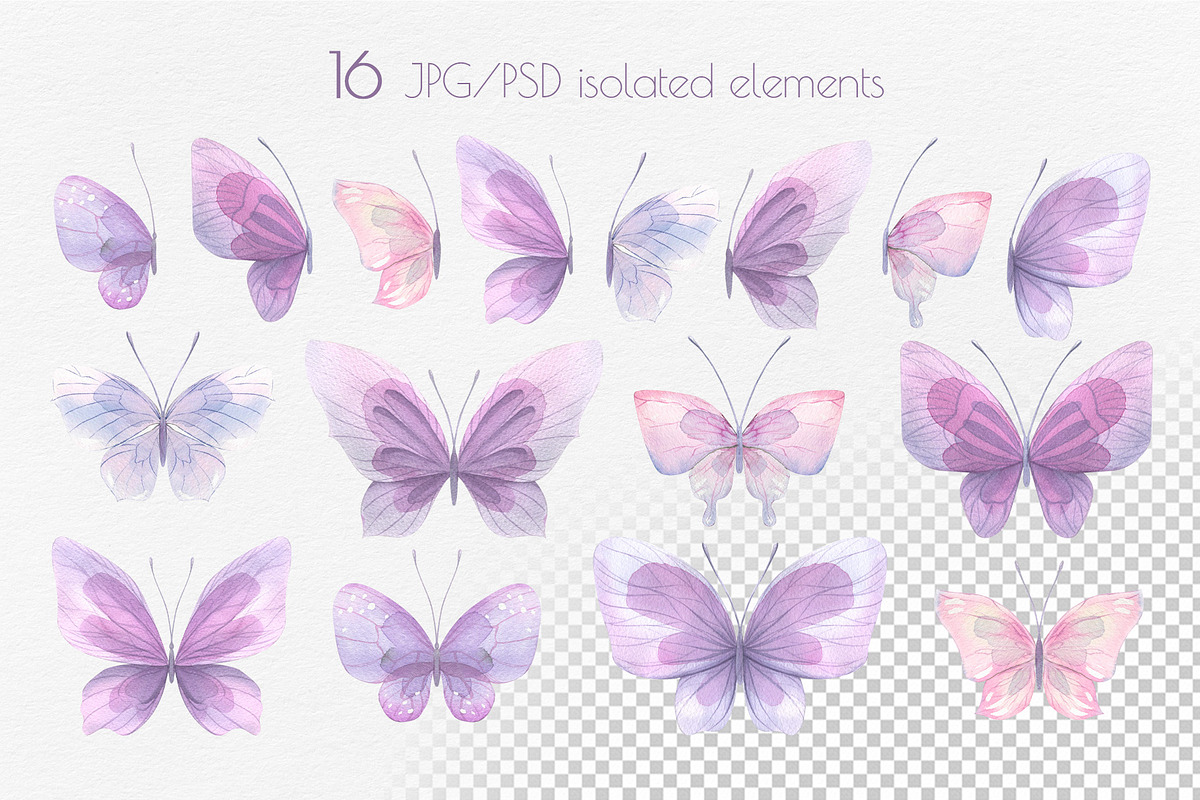 Butterflies Lilac Watercolor & Cats, an Illustration by NATASHA CHU (Photo 3 of 4)