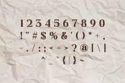 Delari - Lovable Serif Font, a Serif Font by Pikgura (Thumbnail 3 of 7)