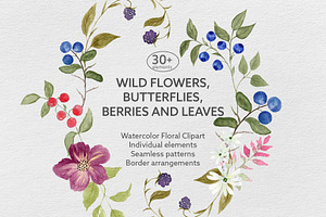 Wildflower & Butterfly Collection