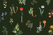 Flowers Bundle - 3 collections, an Illustration by Manimanisa (Thumbnail 4 of 16)