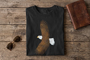 Flying Bald Eagle Illustration, an Animal Illustration by AMMi (Thumbnail 4 of 6)