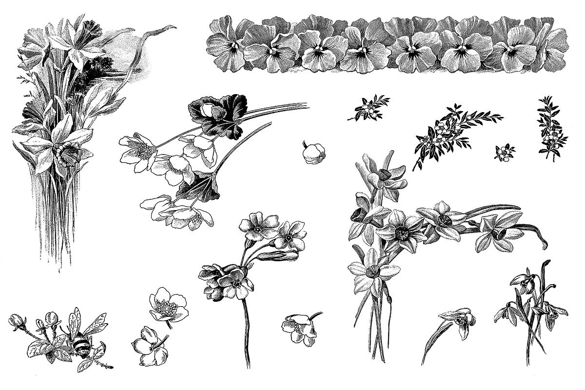 Procreate Botanical Collection, a Brush Add-On by AW Studios (Photo 2 of 6)
