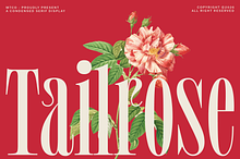 MTC Tailrose - A Quirk Serif Font