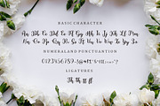 Kaysha Script, a Script Font by Bosstype Studio (Thumbnail 5 of 8)