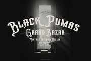 Mesho Victorian Typeface, a Serif Font by TypeClassHeroes (Thumbnail 14 of 15)