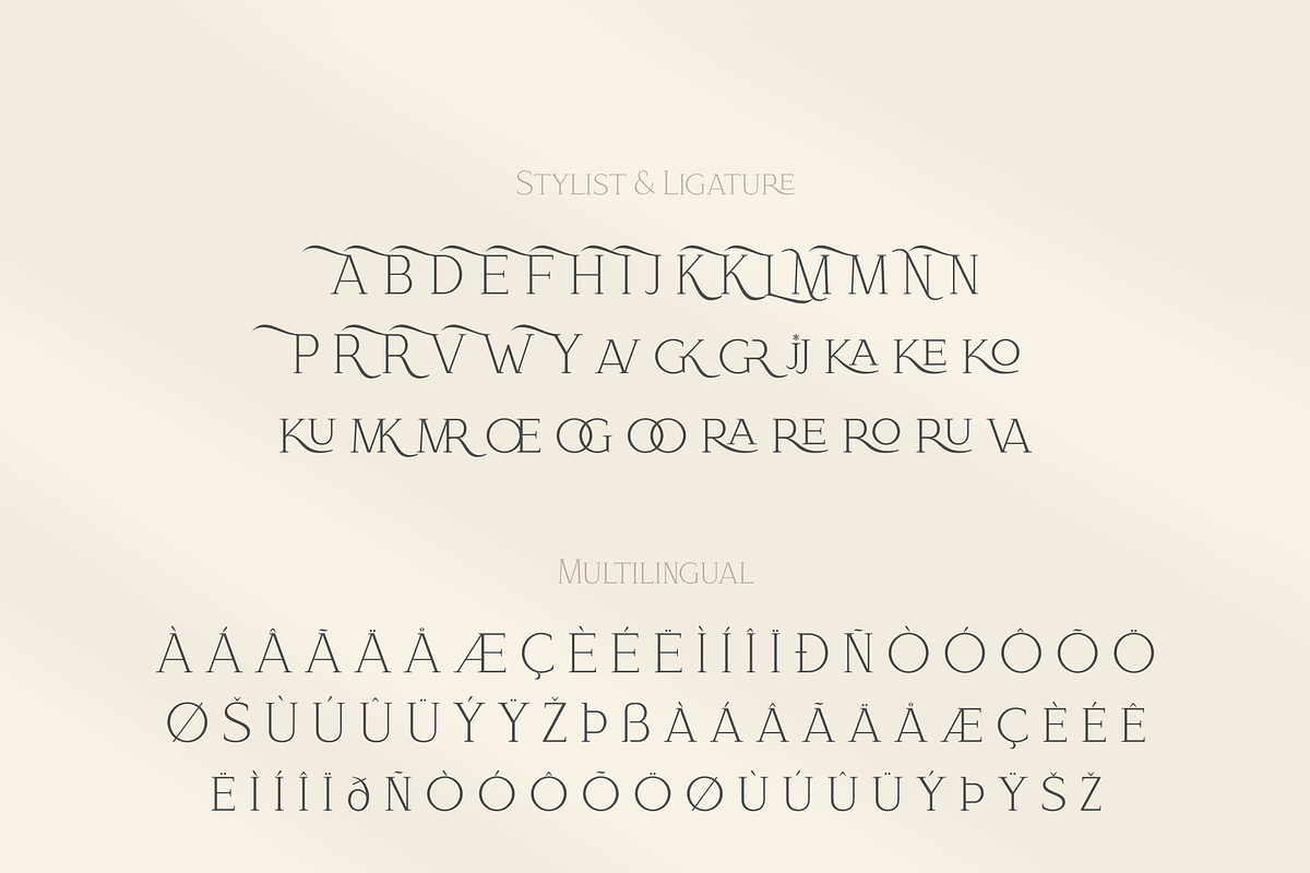 Bloomy Korea - Modern Serif Font, a Serif Font by Artchitype Studio (Photo 10 of 12)