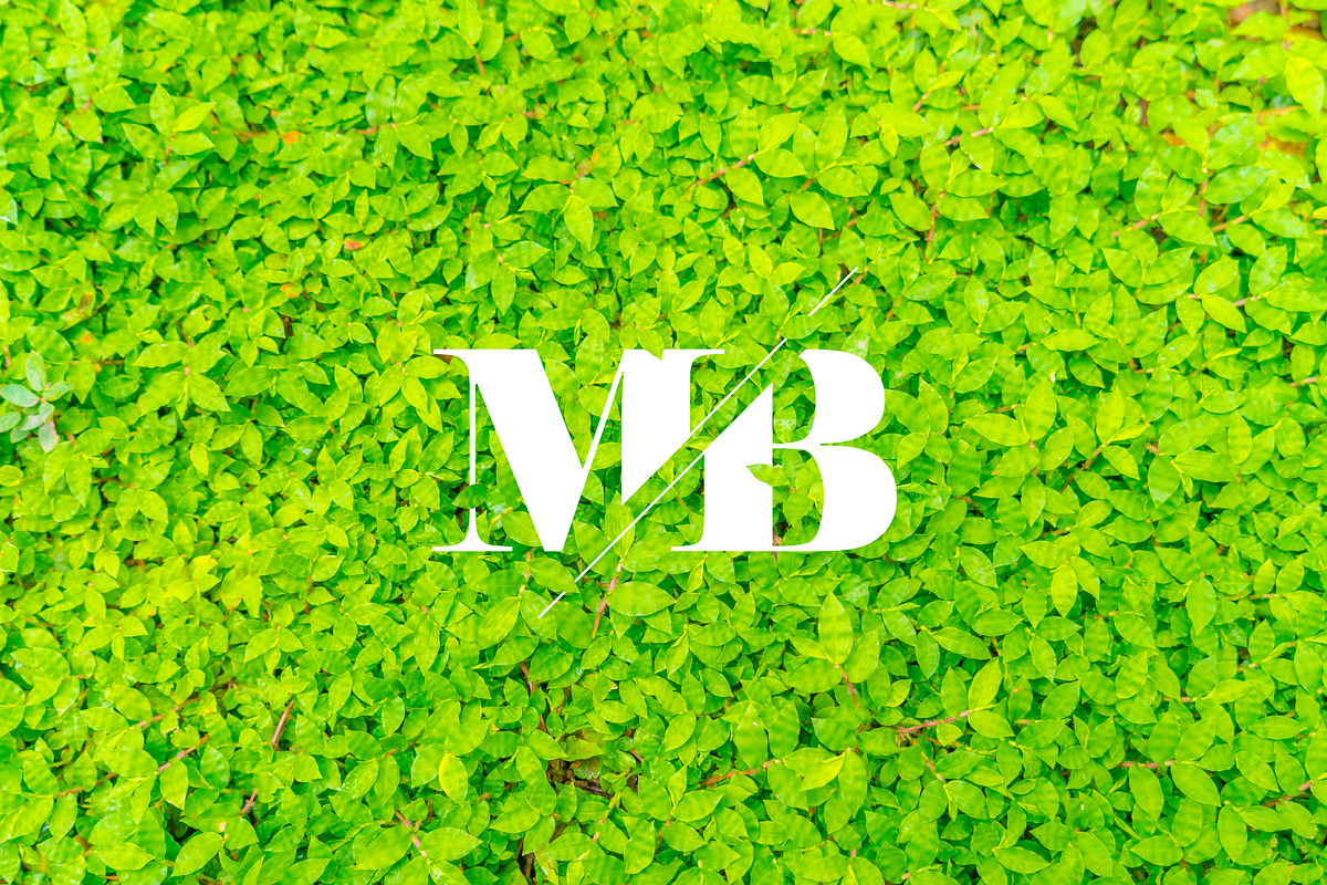 Minimalist Logo Kit, a Graphic by BeSouto (Photo 7 of 8)