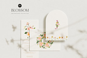 BLOSSOM Spring Watercolor Flowers, a Decorative Illustration by Lana Elanor (Thumbnail 9 of 12)