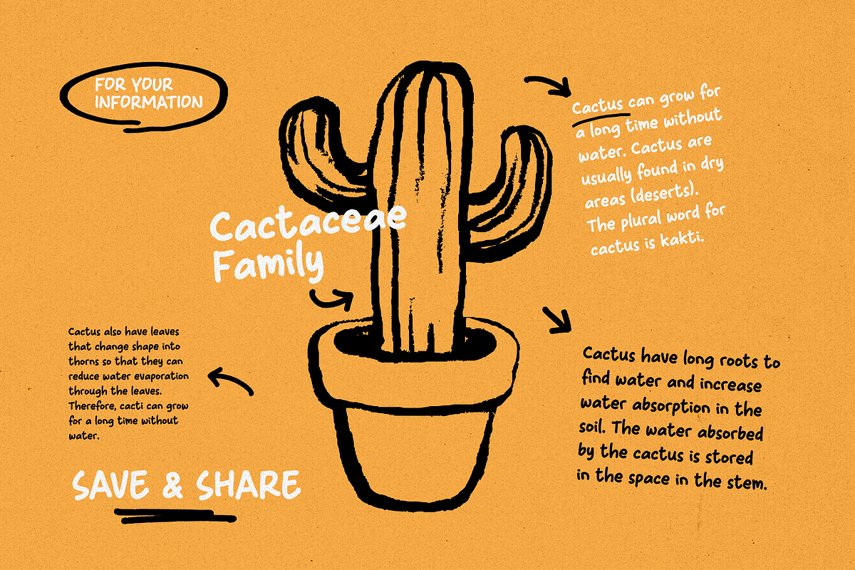 HF Nocros Handwriting, a Handwritten Font by 24Design Studios (Photo 3 of 11)