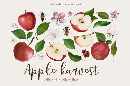 Apple harvest. Clipart collection
