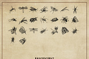 127 Procreate Insects stamps brushes, a Brush Add-On by Endete & Mazak brushes (Thumbnail 5 of 5)