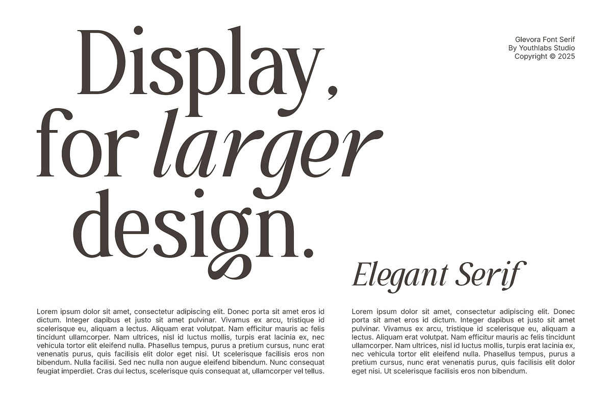 Glevora - Elegant Serif Family, a Serif Font by Youthlabs Studio (Photo 15 of 18)
