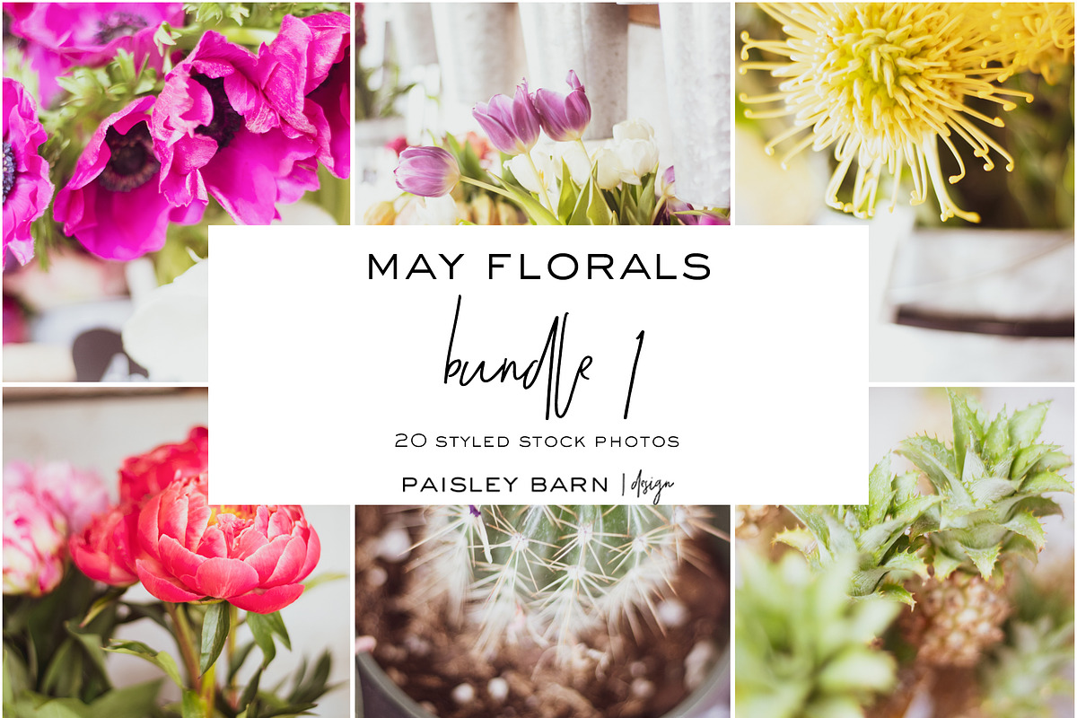 May Floral Bundle 1, a Household Mockup by Paisley Barn Design (Photo 1 of 6)