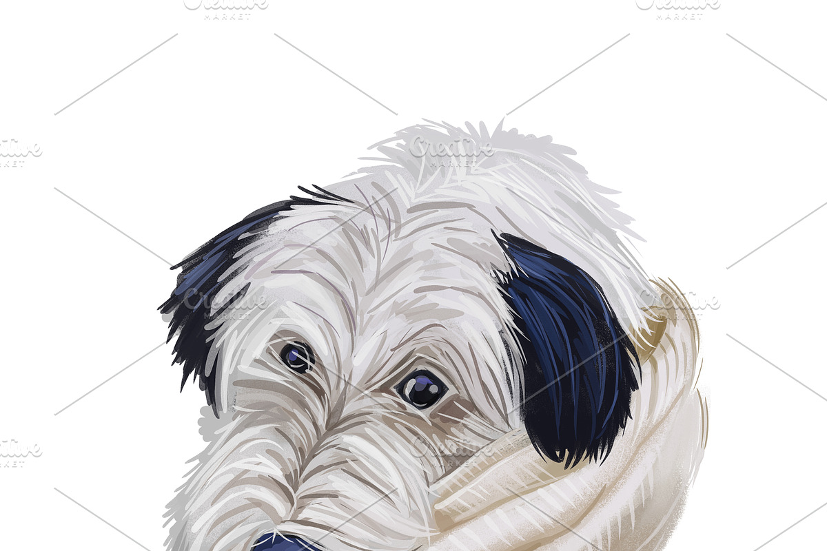 Poodle Cross Breeds 27 Dogs/Puppies, an Animal Illustration by Dneprstock (Photo 18 of 27)