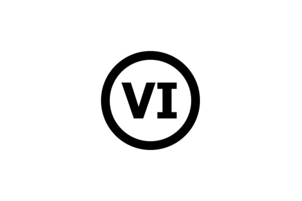 VI logo design, a Branding & Logo Template by xcoolee