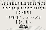 Esmarelle – Slab Serif Font, a Slab Serif Font by NDNL Studio (Thumbnail 5 of 6)