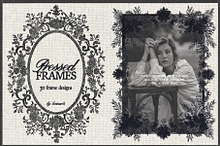 Pressed Frames: Ornamental Borders by  in Graphics