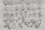 100 Magnolia Procreate Stamps, a Brush Add-On by TheWhiteCatLab (Thumbnail 4 of 5)