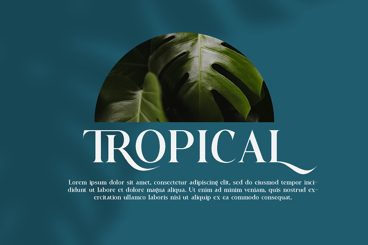 Bezoria - Elegant Serif Font, a Sans Serif Font by RHD Creative Studio (Photo 4 of 9)