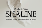 Alverich - Modern Serif Font, a Serif Font by Comactype Foundry (Thumbnail 12 of 22)