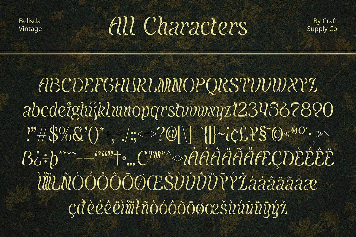 Belisda Vintage, a Sans Serif Font by Craft Supply Co. (Photo 8 of 8)