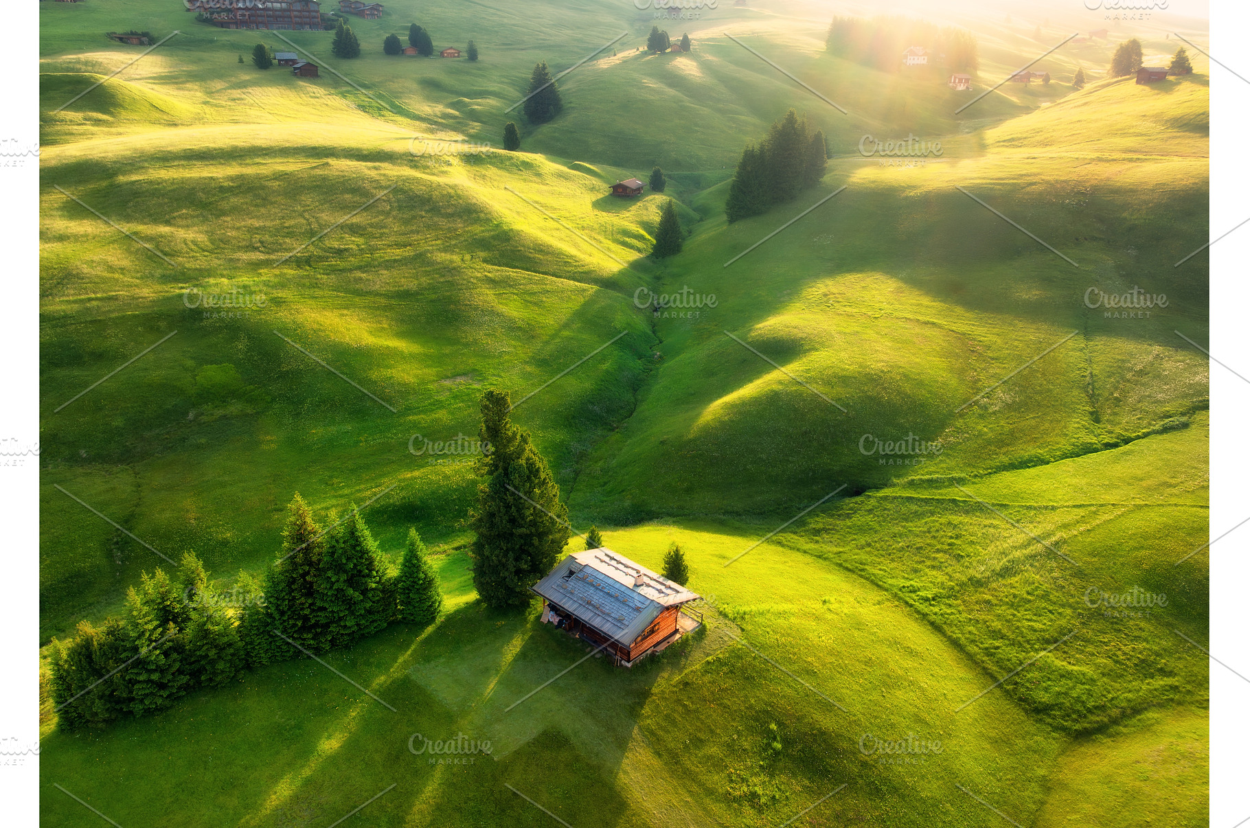 Aerial view of green alpine meadows, a Nature Photo by den-belitsky