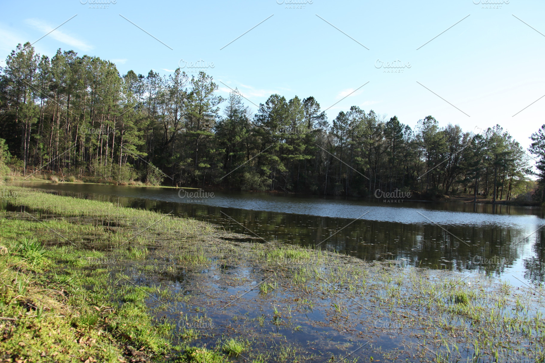 Lake in Gold Head Branch State Park, a Nature Photo by Viktor