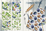 Blooming plum watercolor clipart, a Decorative Illustration by Eva Kleinman (Thumbnail 11 of 14)