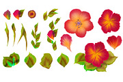150 One stroke flowers style., a Decorative Illustration by redstudio (Thumbnail 5 of 7)