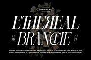 Sherlock Serif Family (126 Fonts), a Serif Font by Mahesans Co (Thumbnail 3 of 25)