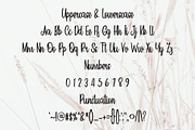 Rustic, a Handwritten Font by InermediaSTUDIO (Thumbnail 2 of 8)