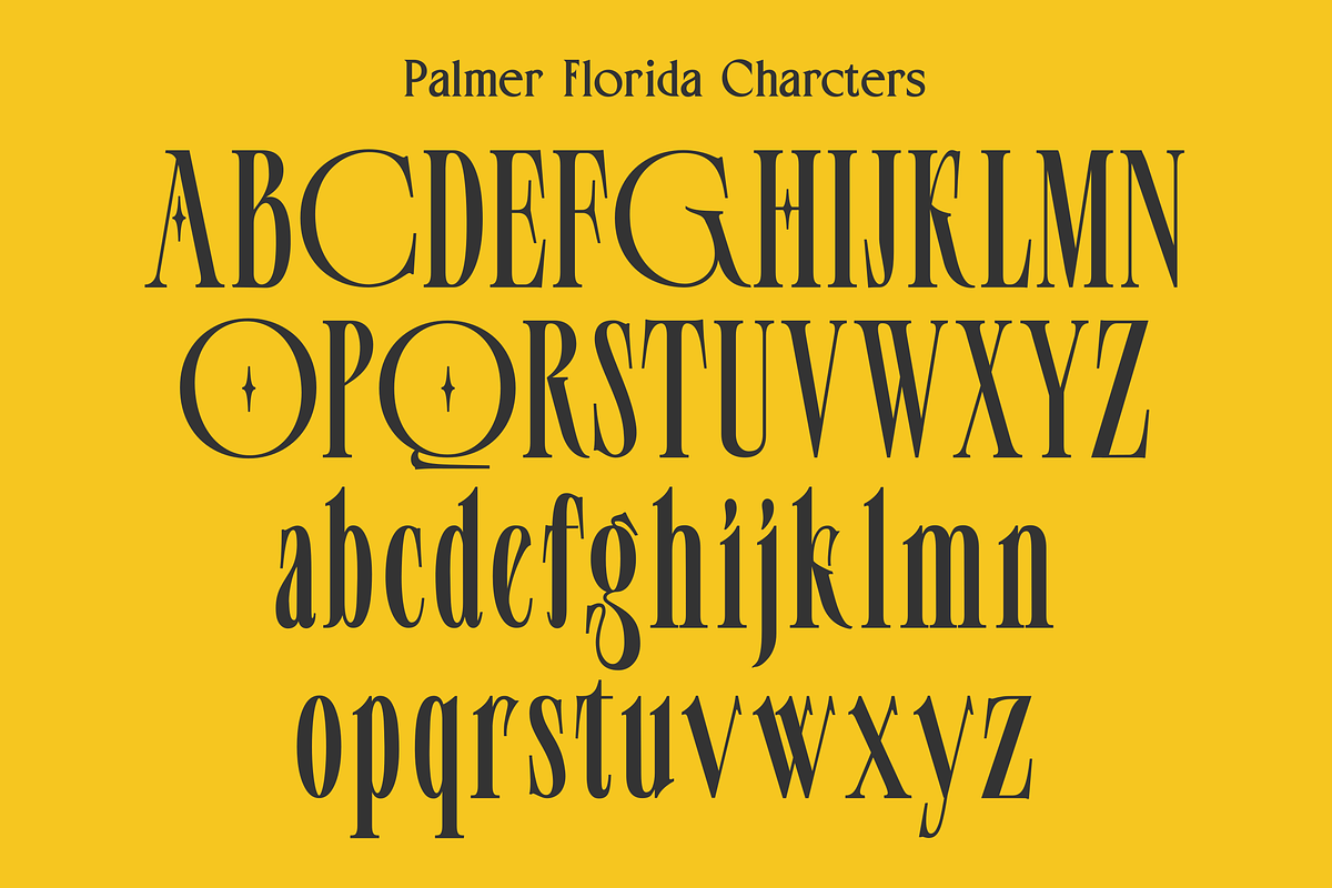 Palmer Florida, a Serif Font by zeenesia (Photo 17 of 18)