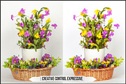 Leica Creative Controls Profiles, a Plug-in Add-On by Raztrend (Thumbnail 3 of 30)