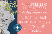 Trangels New Tall Serif Display, a Serif Font by timelesstype.co (Thumbnail 18 of 20)