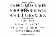 Seabird | Script Font, a Script Font by Scratchones (Thumbnail 3 of 8)