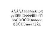 Agnostic Grace Elegant Serif Font, a Serif Font by UICreative (Thumbnail 3 of 13)