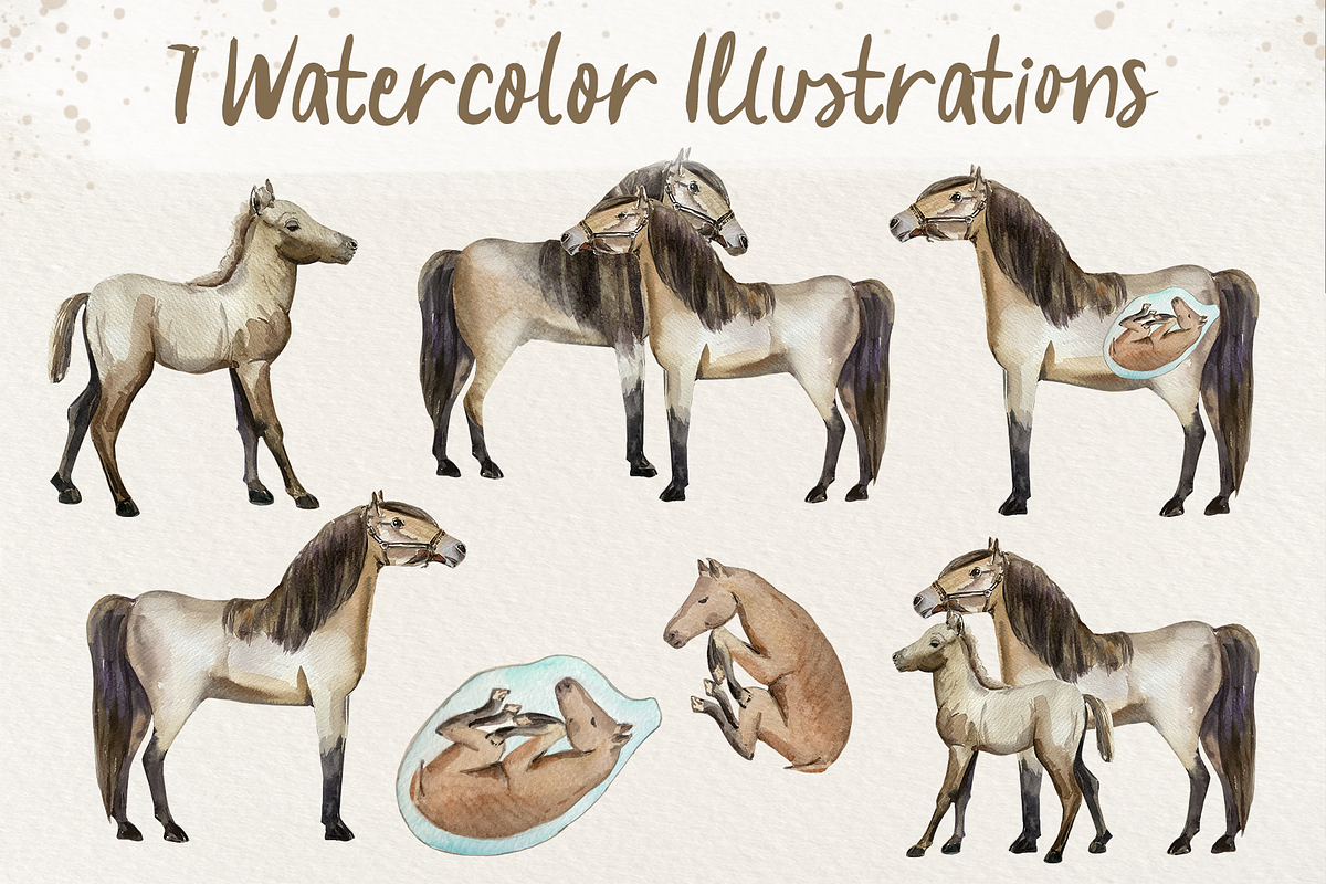 Horse Life Cycle Clip Arts and Print, an Animal Illustration by Tati Bordiu (Photo 4 of 4)