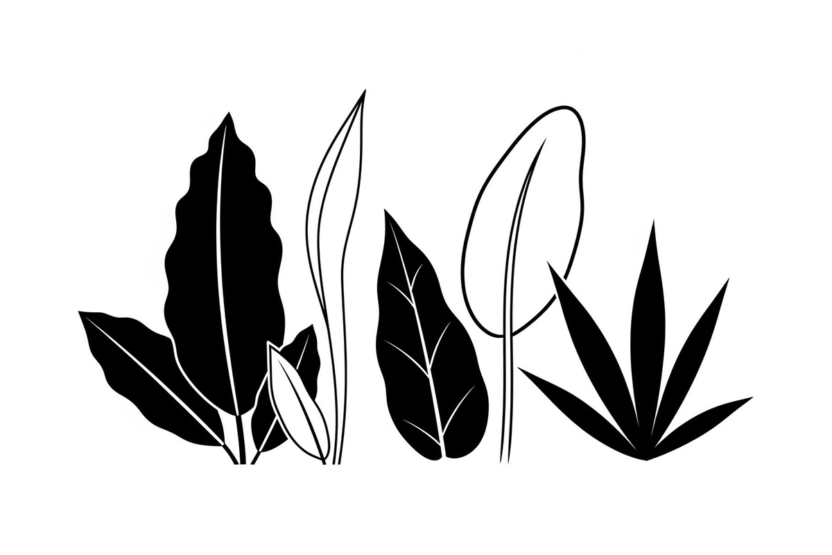Minimal Botanical Leaf Silhouette Bu, an Illustration by Creativeshirt (Photo 23 of 51)