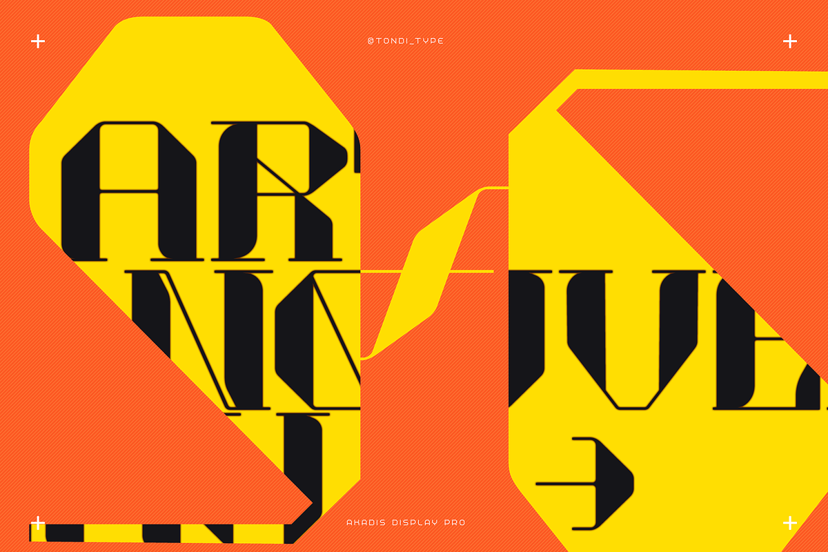 Akadis Neue - Contemporary Serif, a Serif Font by Tondi Type Studio (Photo 18 of 19)