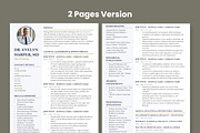 Executive Resume Template, a Resume Template by Anjum Ilyas (Thumbnail 3 of 7)