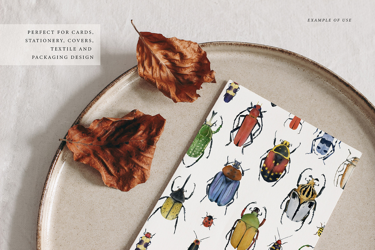 Beetles watercolor collection, an Animal Illustration by Diana Askarova Art (Photo 10 of 12)