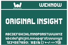 Original Insight font